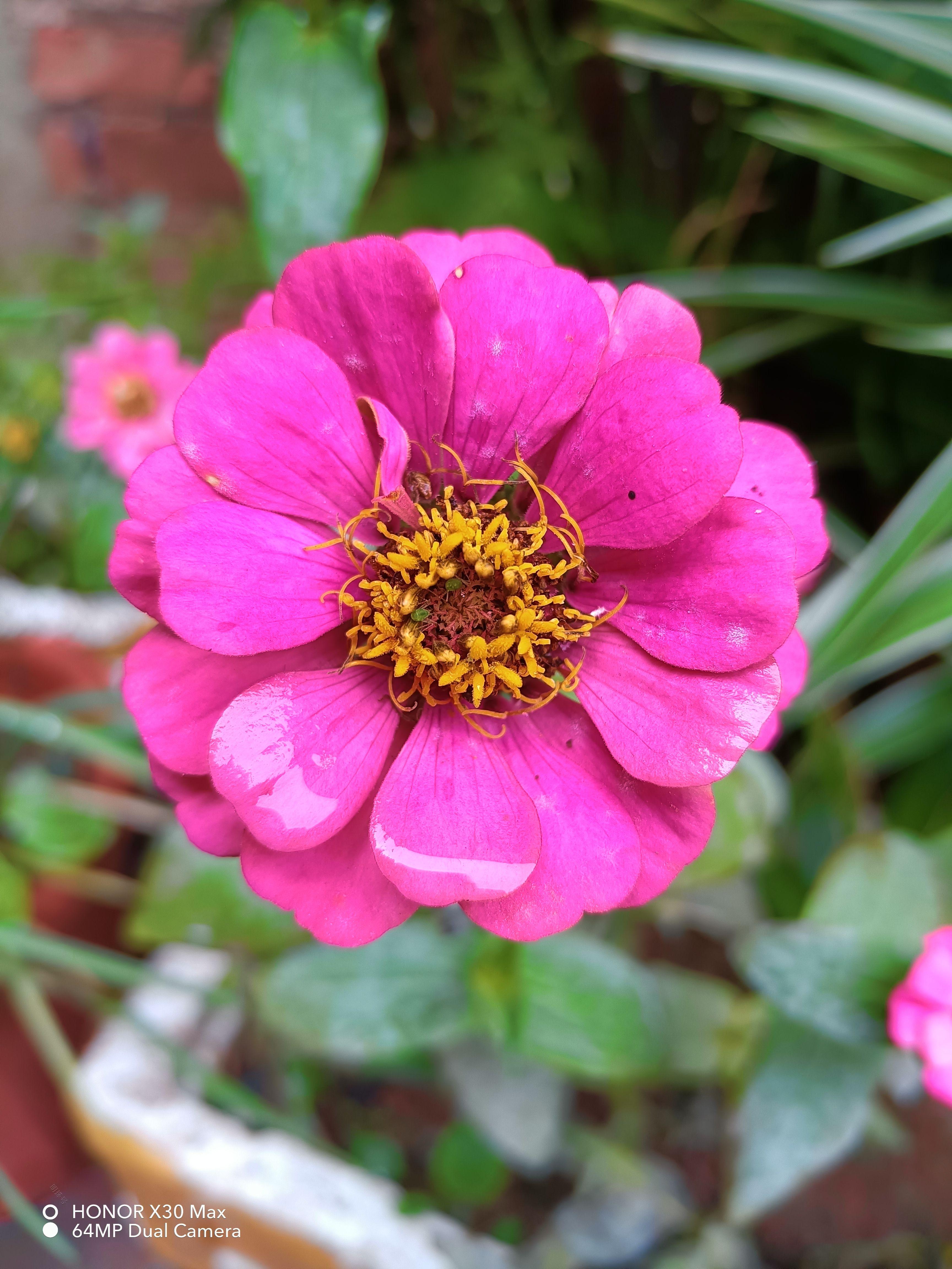 荣耀x30max60w超级快充,荣耀X30MAX深度评测