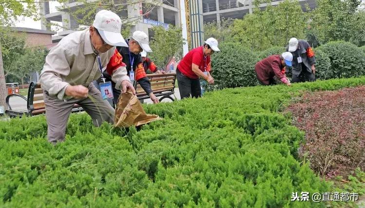 大荔劳模赵贤若,大荔赵贤若