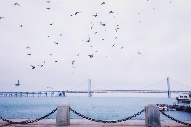 带你去看看大连风景,在大连看最美的风景