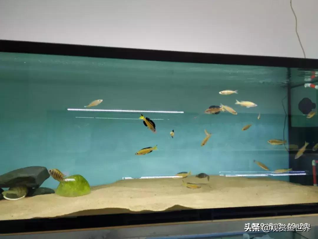 梦想的三湖世界持续建设中……方位:中国天津