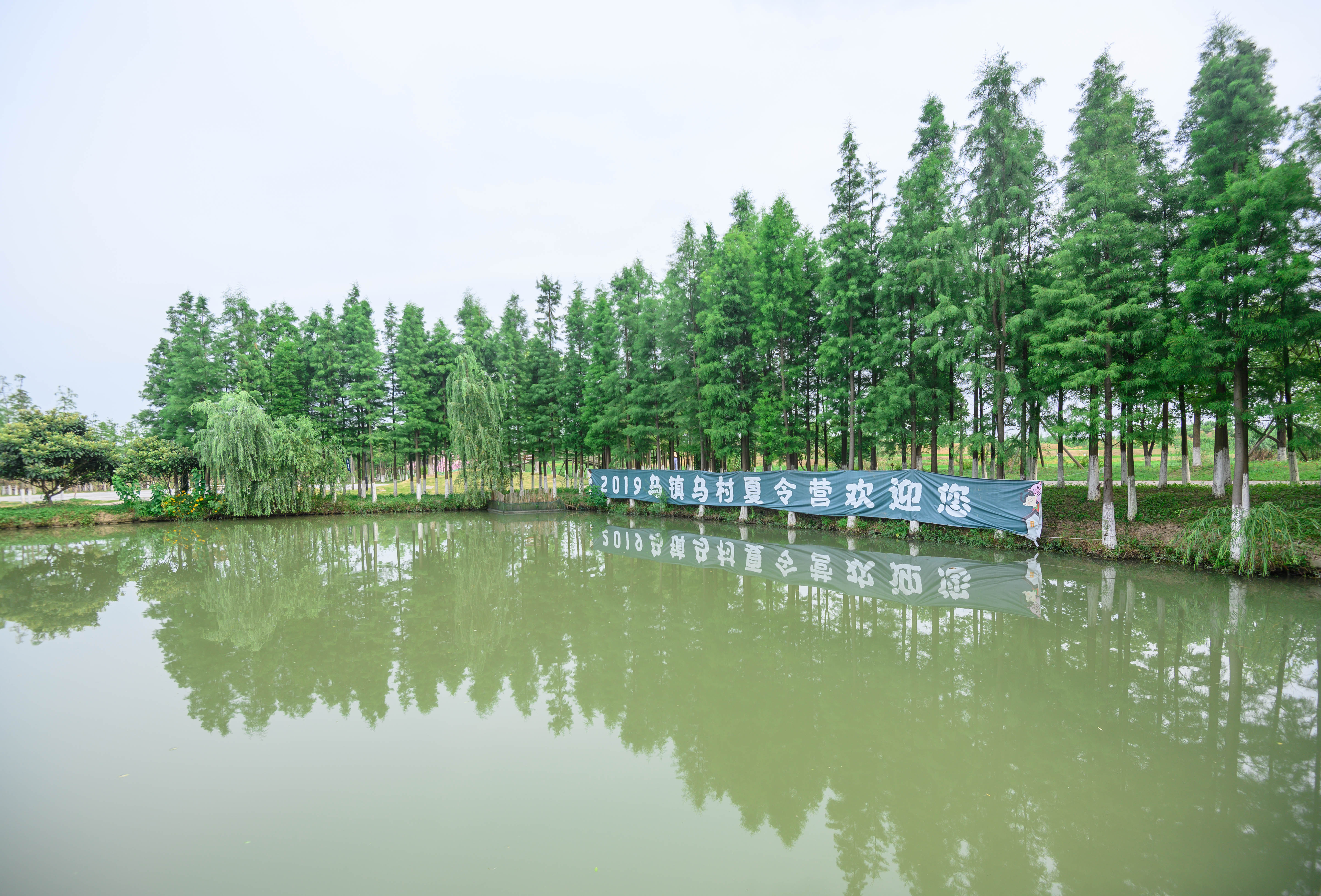 知道乌村吗，孩子来了就不愿离开，住乌村去西栅可以省150元