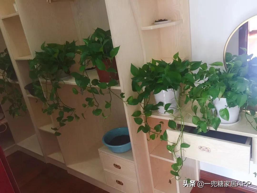 快速彻底除甲醛实测有效,强效甲醛清除剂真的能除甲醛吗