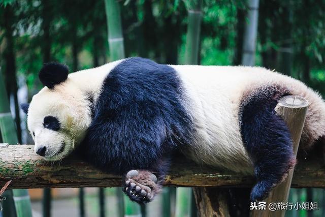天目湖加南山竹海哪里泡温泉好,天目湖度假秘境享受绝美自然山水