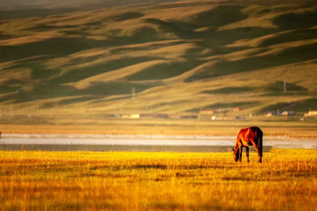 青海旅游攻略景点必去,一生一定要去一次青海吗