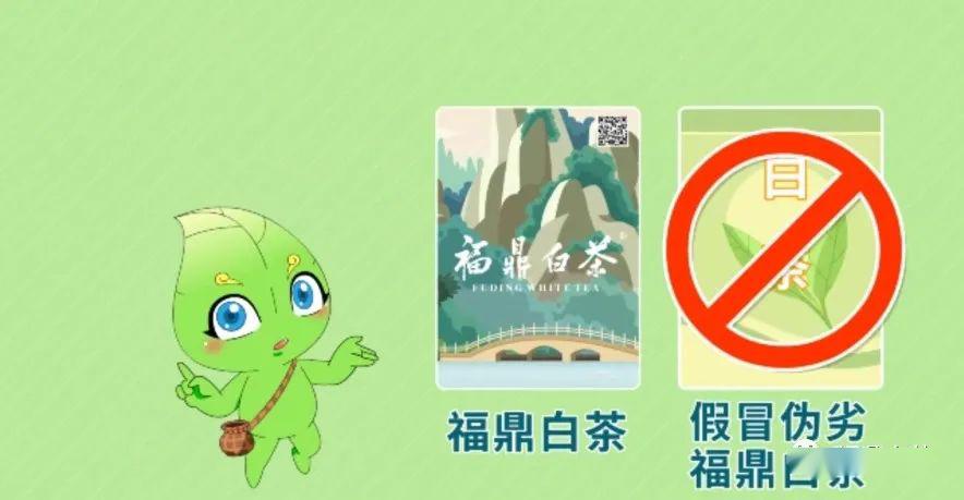 福鼎身份证办理流程,福鼎办身份证要去哪里