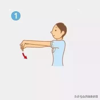 坐着怎么拉伸腰部肌肉,坐着就能完成的简单拉伸小动作