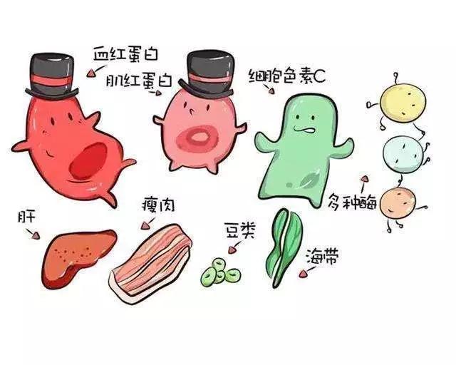 宝宝6个月体检发现贫血,家长平时要这么做,别等发现了才补铁