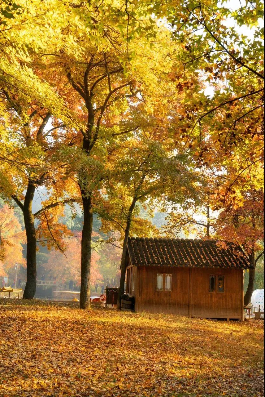 回不去的故乡到不了的远方句子,回不去的故乡到不了远方歌曲