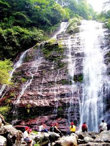 福建三明市几个区分别叫什么,福建三明市详细介绍