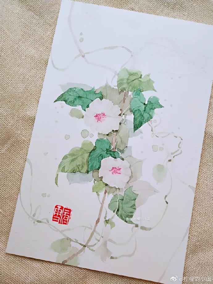 分享一组好看的小清新水彩插画,不来看看简单水彩小插画的教程吗