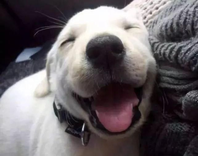 用什么标题才能涨流量,如何修改标题涨流量