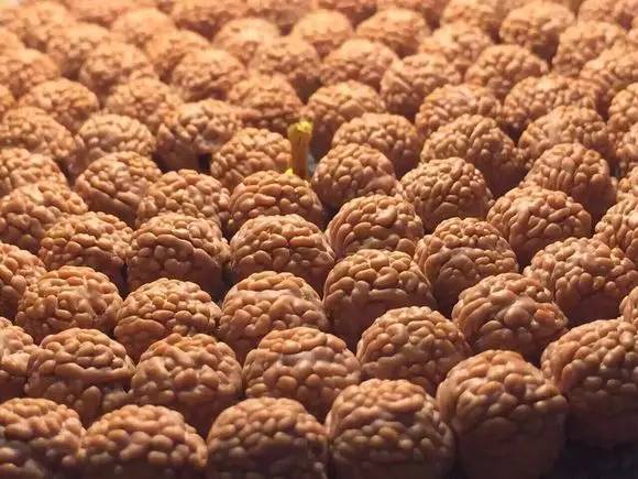 小金刚菩提鉴定视频,小金刚菩提的真假鉴别