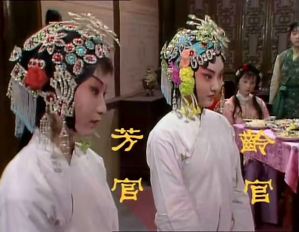 红楼梦里面的赵姨娘怎么样,红楼梦里的赵姨娘是真的吗