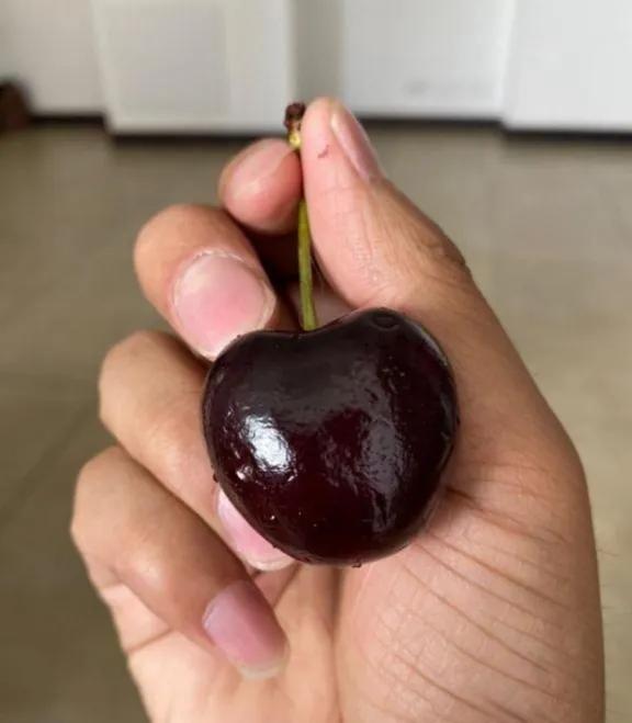 全球旅游放开了吗,全球放开旅游的国家有哪些