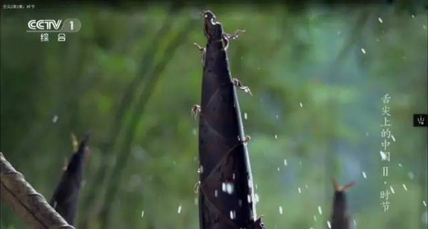 奉化水蜜桃和芋艿头,奉化芋艿头与芋艿子