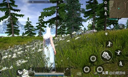 武侠乂巅峰,武侠乂为什么起不了名