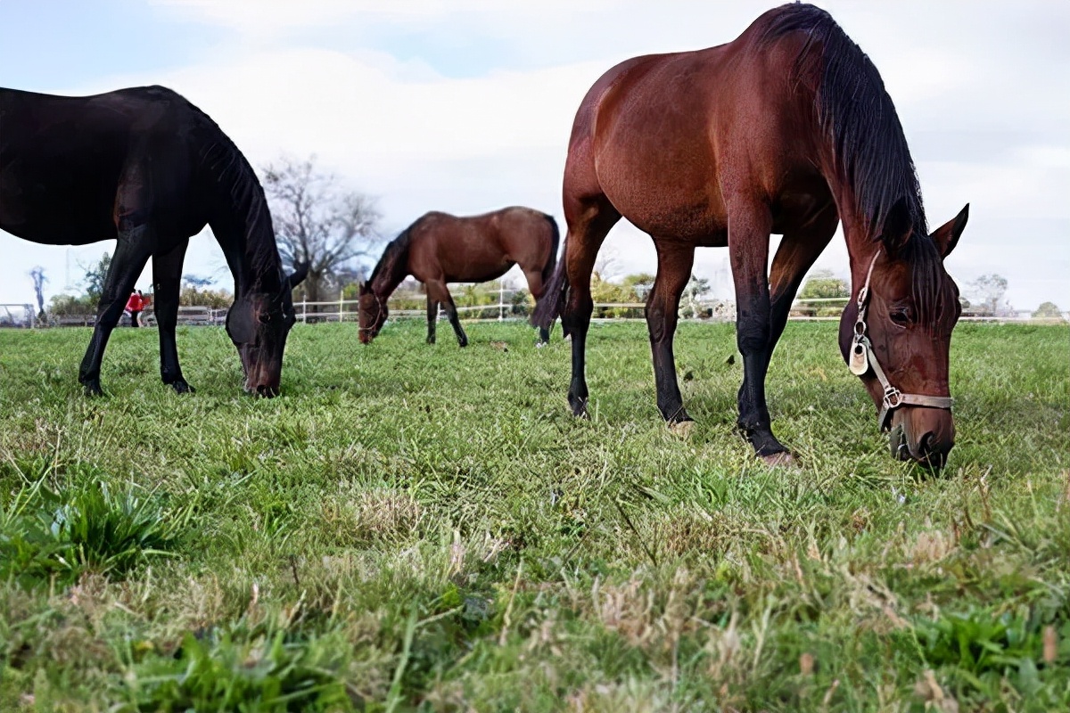 美国罗格斯大学排名,美国罗格斯大学