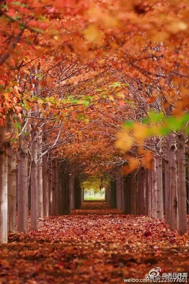 大连有一个蓝色的小城堡景点,大连秋季旅游景点攻略大全