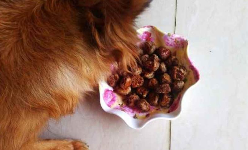 狗狗吃鸡肝的危害有哪些症状,狗狗经常吃鸡肝有什么危害