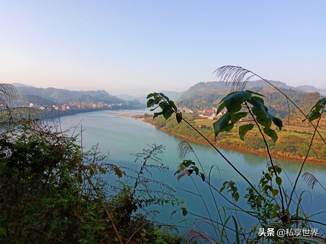 现在哪里的橙子最好吃,全国哪些地方的橙子好吃水分多