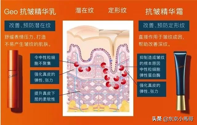 pola抗皱精华能减轻法令纹吗 (pola去皱精华限定套装)