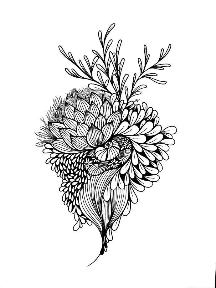 高级线描画花卉大全,花卉线描100种