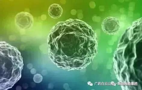 中医说癌症阳气不足,中医治疗癌症讲究