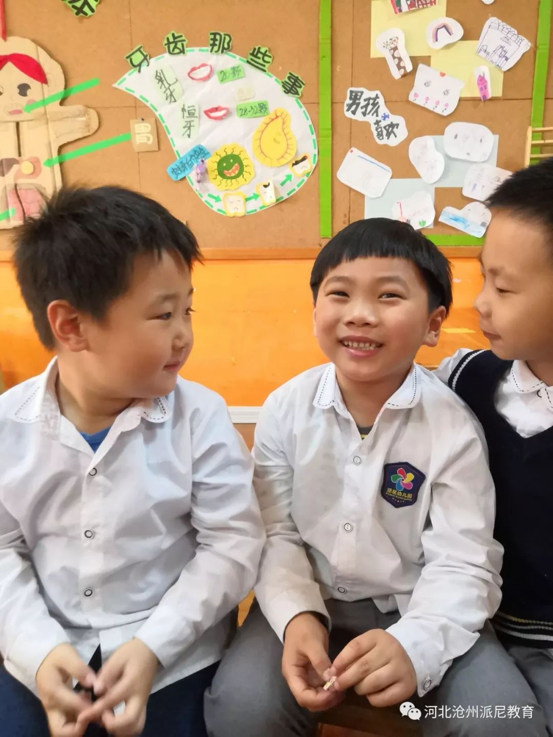 身体大揭秘动画,身体大揭秘