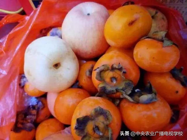 柿子脱涩是用凉水泡还是用熟苹果,柿子脱涩用什么方法最快呀