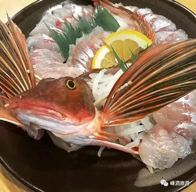 海捕常见海鱼,东海海鱼图片和名称大全