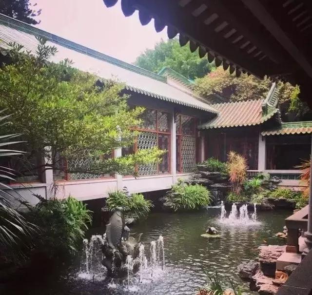 广州早茶店推荐老字号,广州比较正宗的早茶老字号