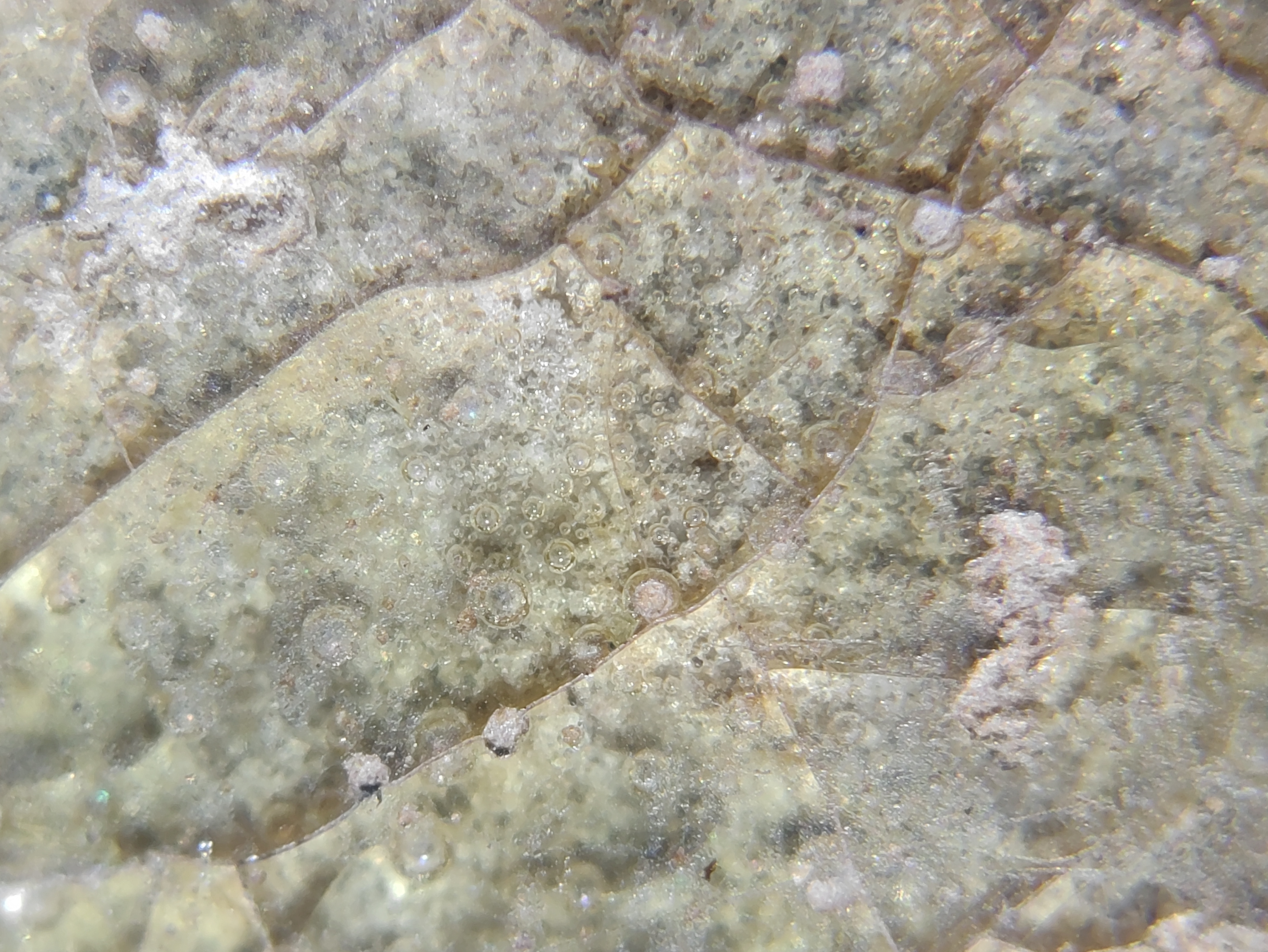 东汉原始青瓷三足盖鼎,西汉原始青瓷双耳尊