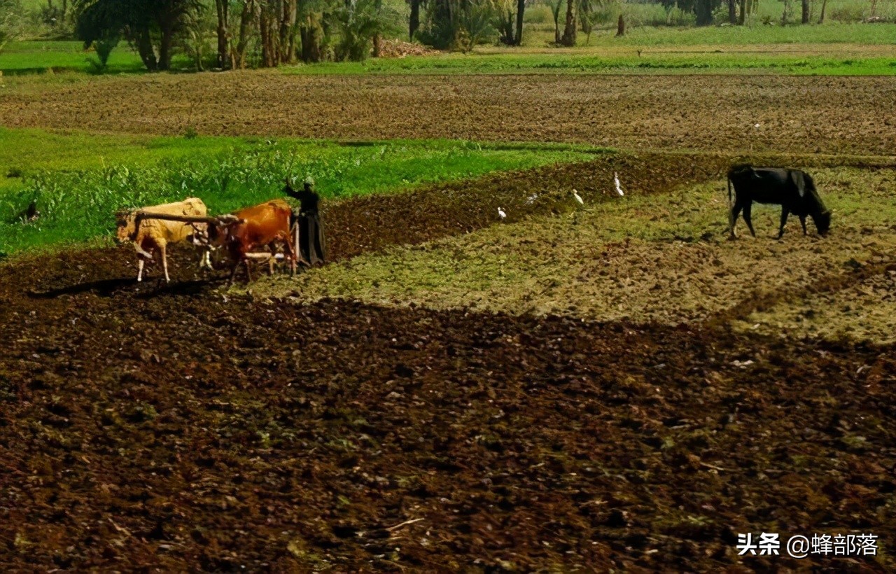 农民工外出打工难吗,农民进城打工好还是回乡创业好