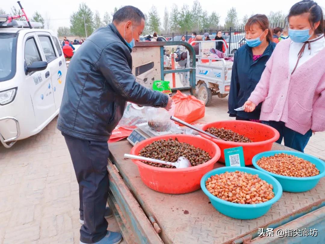 廊坊杨税务集市,在早市遇见久违的人间烟火气
