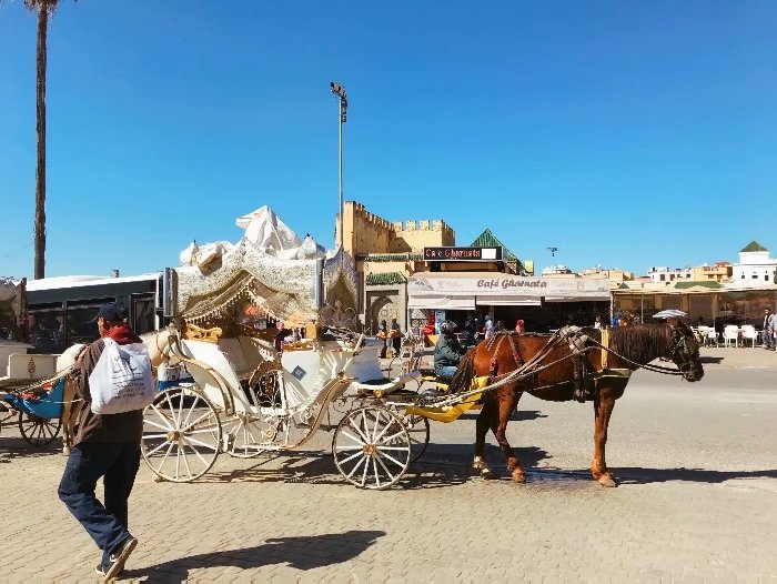 去摩洛哥自由行攻略,摩洛哥游玩自由行攻略