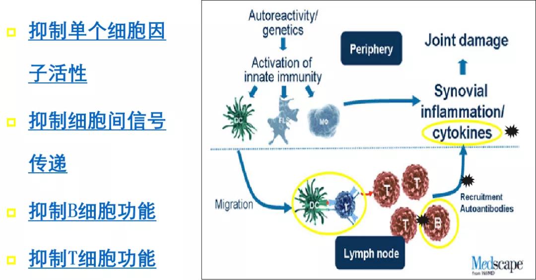 免疫紊乱和血液有关系吗,免疫系统紊乱和狼疮一样么