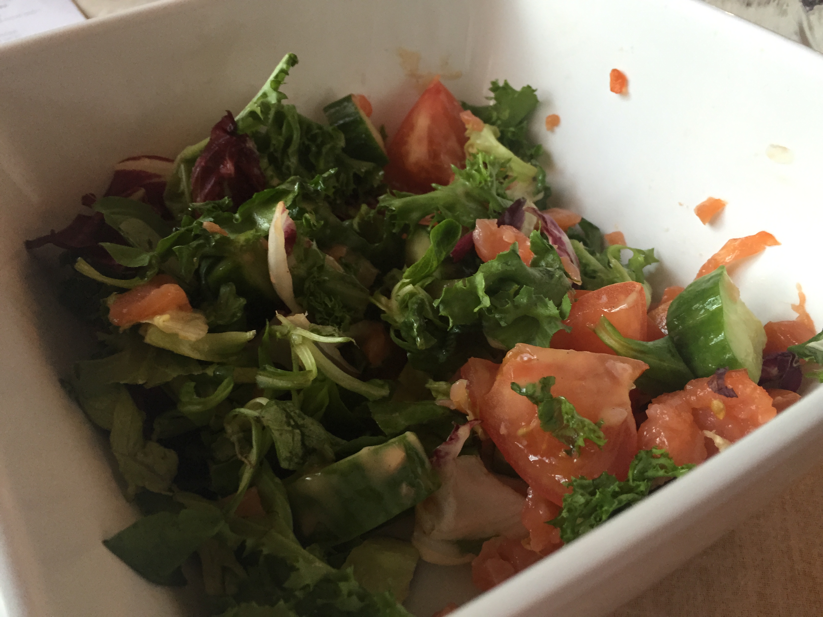 北欧20日游-D14.2-芬兰拉普兰