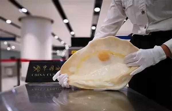 禁止携带入境的物品有什么,各国入境禁止携带物品清单