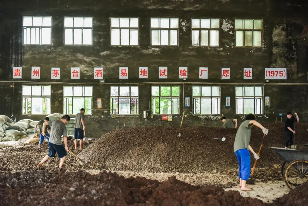 珍酒高档酱香型白酒有哪些,珍酒酱香型十大排名