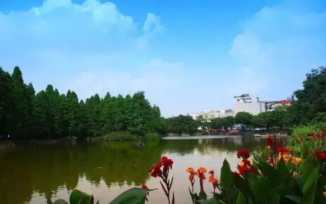 五一广东游玩攻略人少,五一广东免费的旅游景点