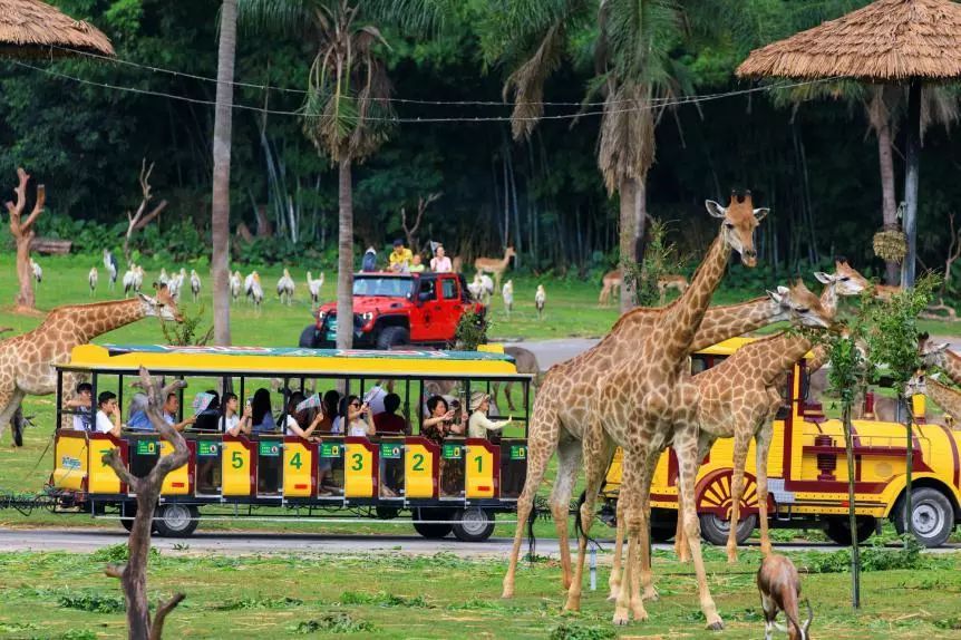 春节广州周边温泉游攻略,自由行广州温泉旅游攻略