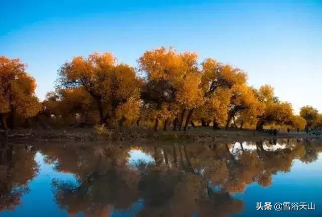 新疆若羌县祁曼塔格乡有多大,最大的县城若羌县