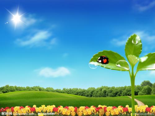 你需要掌握的金融知识,金融基础知识重点概念