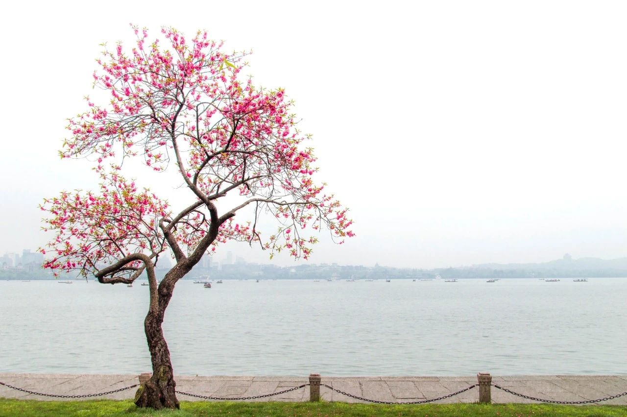 暮春十大经典诗词,七首唯美暮春诗词