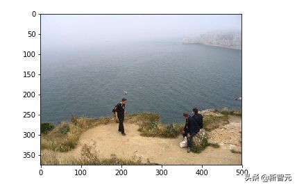 bp神经网络简单实现,如何搭建一个自己的视觉神经网络