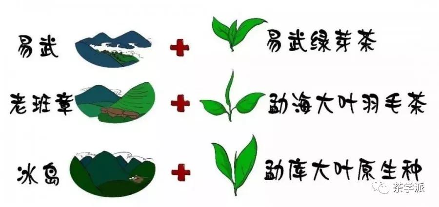 茶江湖六大名茶,茶江湖武夷山岩茶