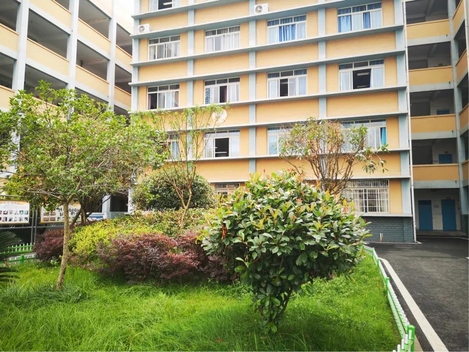 专家引领促提升追求卓越不止步｜玉龙中学举办质量建设专题培训