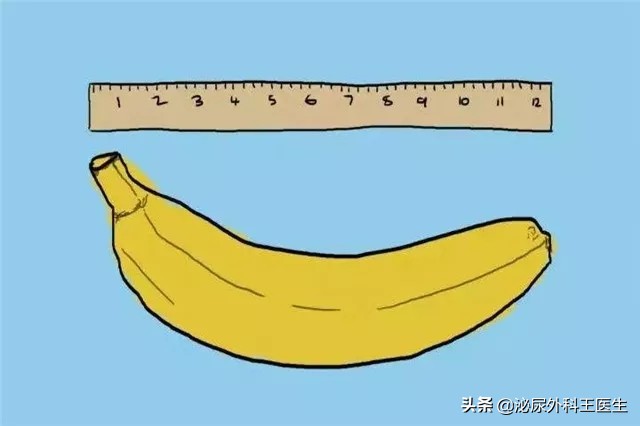男性阴茎长度人均18cm？别被骗了！这个长度才正常
