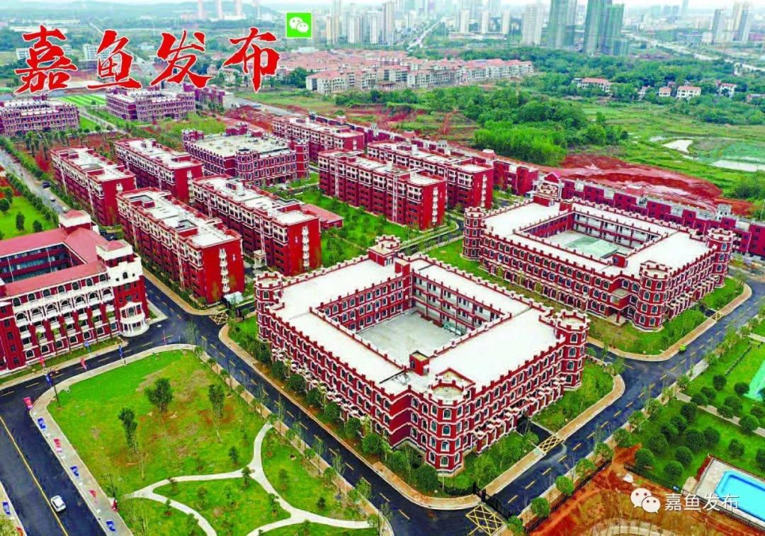 嘉鱼未来十年发展变化,嘉鱼是做什么行业的