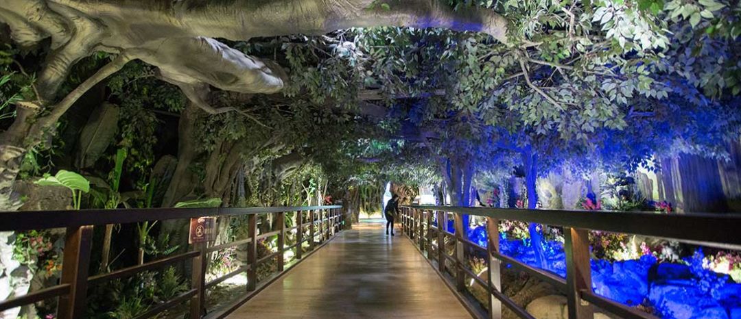 look缃戠孩,look鍝ュ摜